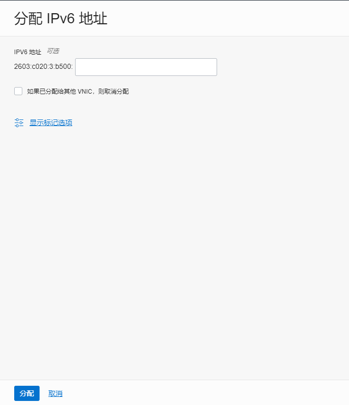 可以指定一个你想要的IPv6格式,不指定会随机分配一个。 Oracle IPv6