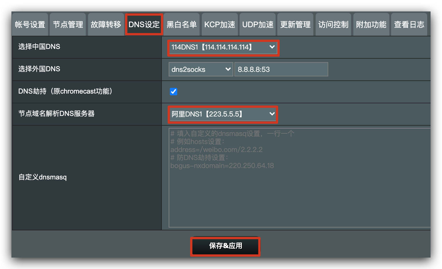 DNS设定 fancyss